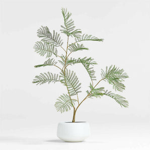 Potted Faux Fern 3'.