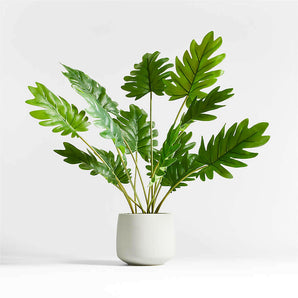 Potted Faux Philodendron 24"