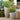 Slant Light Grey Short Indoor/Outdoor Planter.