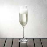 Acrylic Champagne Glass