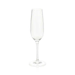 Acrylic Champagne Glass