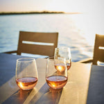 Acrylic Stemless Wine Glass