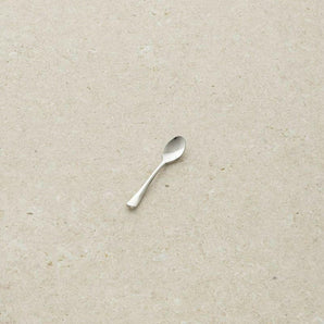 Caesna Mirror Mustard Spoon