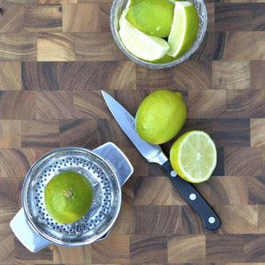 Stainless Steel Citrus Juicer