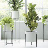 Dundee Low White Planter with Stand.