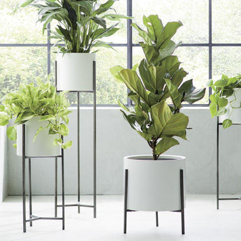 Dundee Low White Planter with Stand.