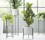 Dundee Low White Planter with Stand