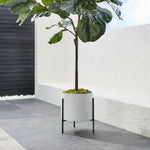 Dundee Low White Planter with Stand