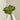 Artificial Echeveria Succulent Stem.