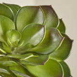 Artificial Echeveria Succulent Stem.