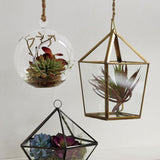 Red Yucca Faux Succulent Stem.