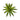 Green Yucca Succulent Stem.