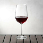 Acrylic Wine Glass