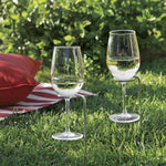 Acrylic Wine Glass