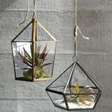 Red Yucca Faux Succulent Stem.