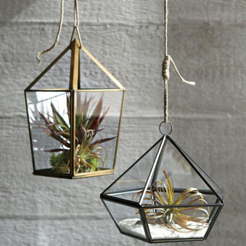 Red Yucca Faux Succulent Stem.