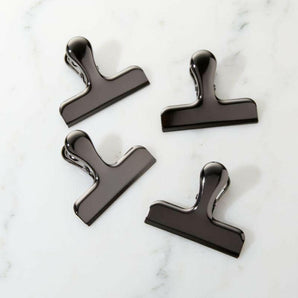 Metal Magnetic Chip Clips, Set of 4