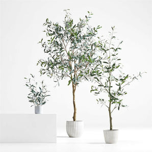 Olive Tree 22"