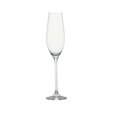 Marin 8-Oz. Champagne Glass.