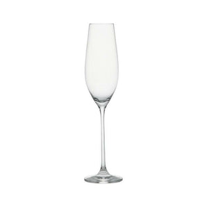 Marin 8-Oz. Champagne Glass.