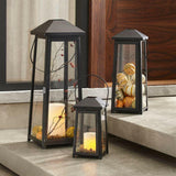 Petaluma Lantern.