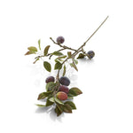 Plum Stem