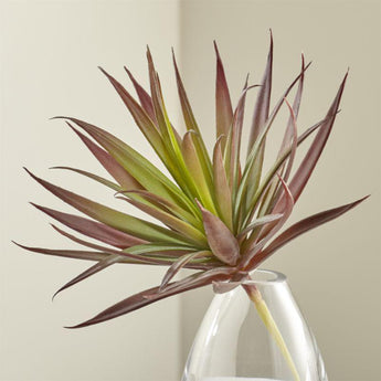 Red Yucca Faux Succulent Stem.