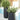 Saabira Fiberstone Tall Planter.