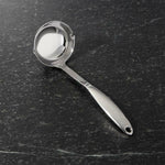 Stainless Steel Double Spout Ladle