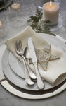 Stainless Steel Charger Plate
