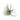 Tillandsia Grey Faux Succulent Stem.