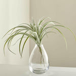 Tillandsia Grey Faux Succulent Stem
