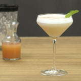 Schott Zwiesel Tour Martini Glass 11-Oz.