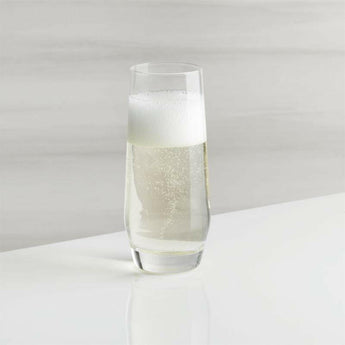 Schott Zwiesel Tour 9-Oz. Stemless Champagne Glass.