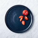Visto Stoneware Dinner Plate.