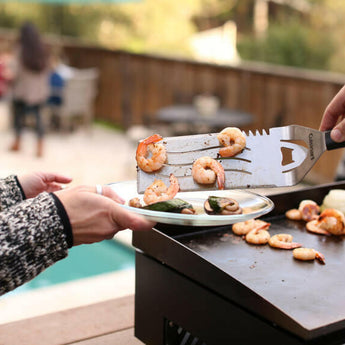 Gourmet Two Burner Gas Griddle.